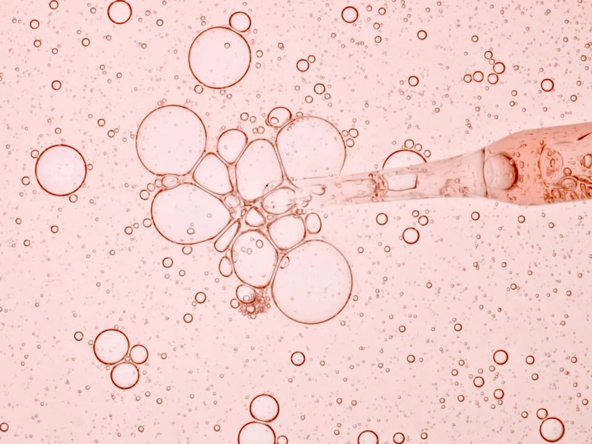 A pipette drawing a sample from a petri dish