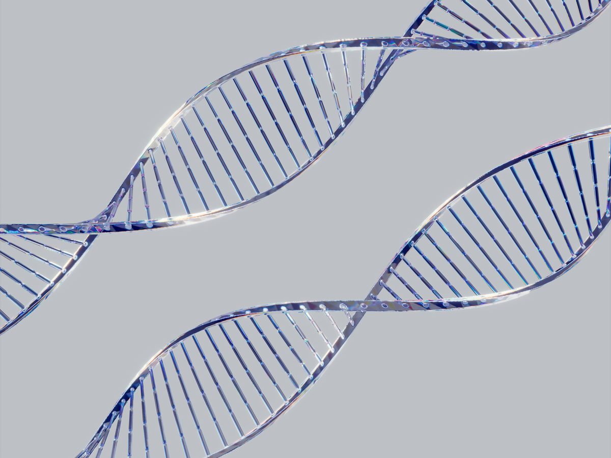Strands of DNA