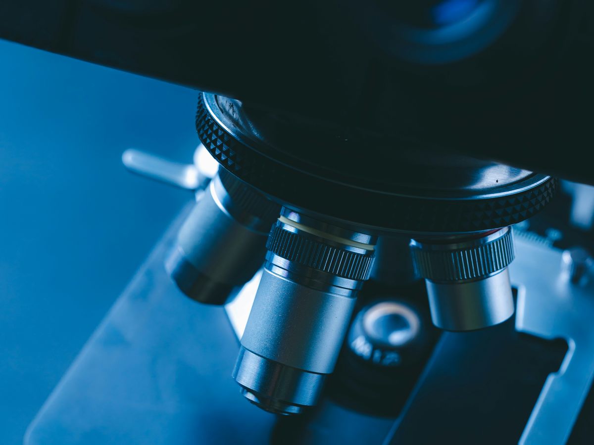 The objective lenses of a laboratory microscope